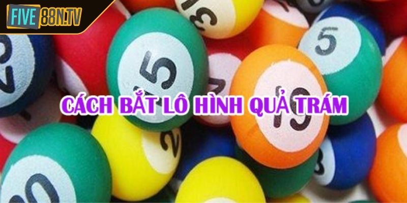 Bí kíp bắt lô chuẩn theo phương pháp quả trám